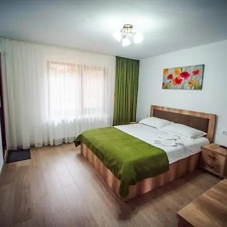 Guest house Pensiunea Valea Rasului