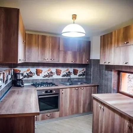 Pensiunea Valea Rasului Guest house Rucar (Arges)