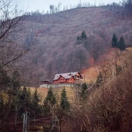 Guest house Pensiunea Valea Rasului Rucar (Arges)