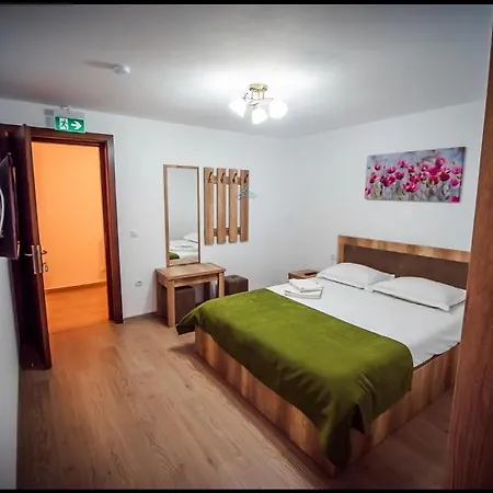 Pensiunea Valea Rasului Guest house
