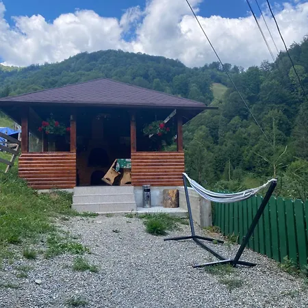 Guest house Pensiunea Valea Rasului