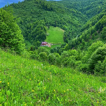Pensiunea Valea Rasului Guest house Rucar (Arges)