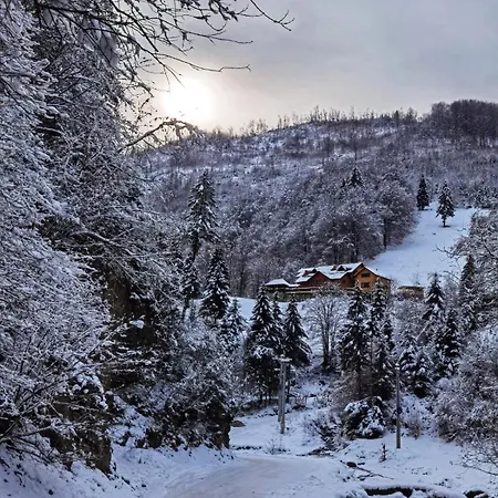 Pensiunea Valea Rasului